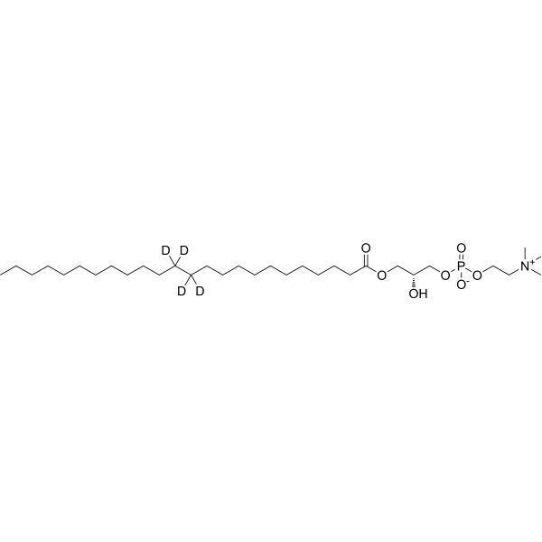 24:0 Lyso PC-d4 2483831-13-4